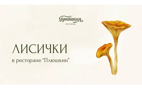 Сезон лисичек в ресторане «Плюшкин»